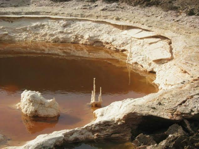Rose Dead Sea Неве-Зоар