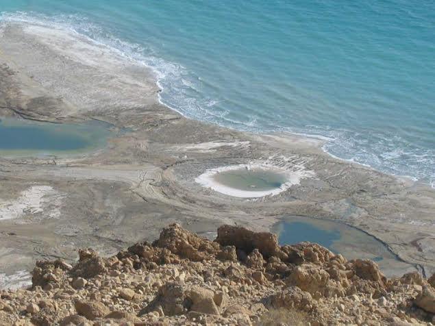 Rose Dead Sea Гостевой дом Неве-Зоар